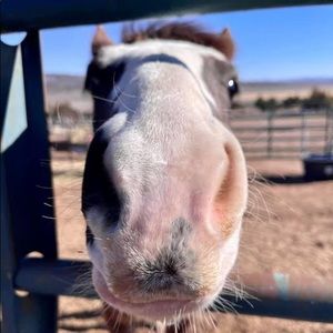 Meet your Posher, Cassandra